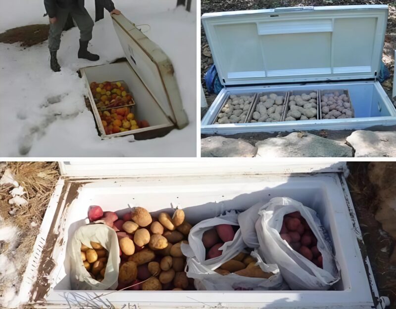 Сосед закопал свой старый холодильник в землю: мы все были в шоке от этой сцены